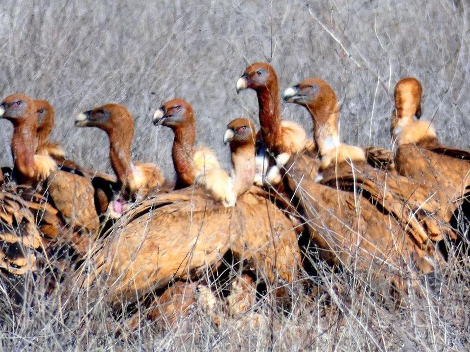 منزل الضيف Quintanilla del Agua  في El Perfume Del Almendro المظهر الخارجي الصورة